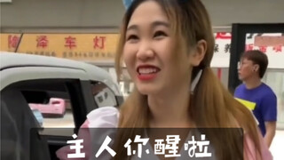 快板味的天津女仆，你爱了吗