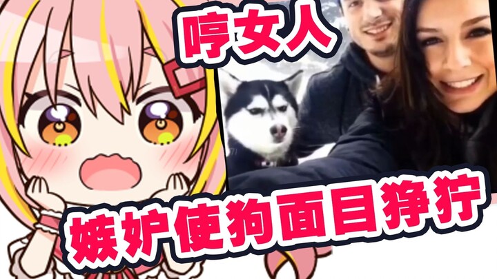 [Mature] Japanese Vitality Fox Watches "Jealousy Makes the Dog Grim" [Rin Yin Wu Meng]