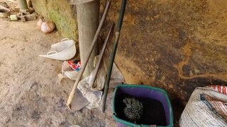 Khám Phá Bản Làng Người MÔNG Biên Giới Việt Trung P3