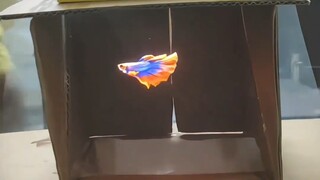 محتوى ممتع إلى هذا الحد، لا أعرف لمن أشاركه؟