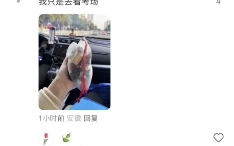 Tôi chỉ đi xem phòng thi thôi chứ đâu phải đi nhập hàng!