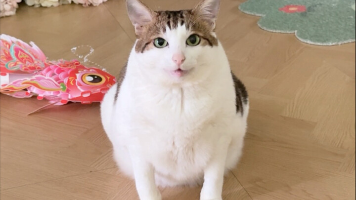 This year, Uncle is still very quirky—adorably so!