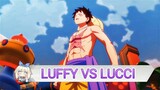 Luffy vs Lucci [AMV]