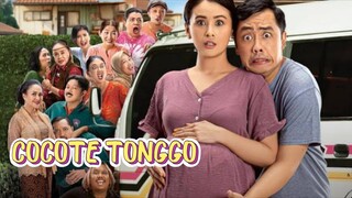 Lika-Liku Pewaris Jamu Kesuburan - COCOTE TONGGO