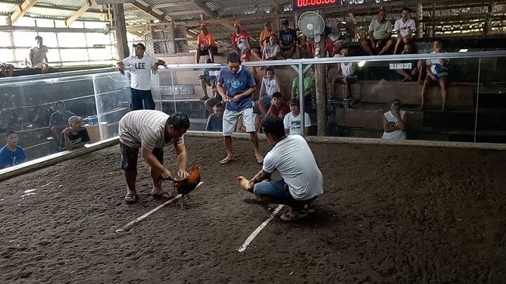 tatlong laban win ulit