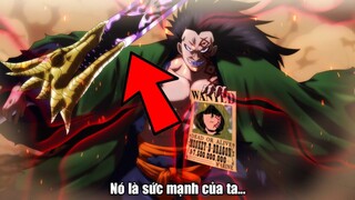 BẠN chưa từng biết ĐIỀU NÀY về Monkey D. Dragon - One Piece