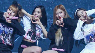 BLACKPINK | Sweet Moments with Elder Sisters