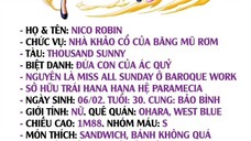 Băng hải tặc Mũ Rơm