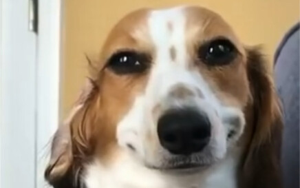 حتى أنا، المعتلّ، أعتبر هذا معتلًّا!