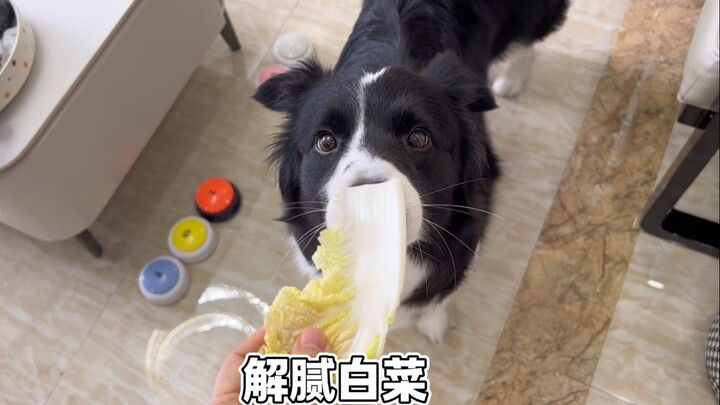 Let’s eat. Today we have appetizer radish.