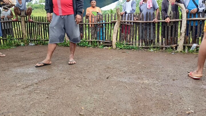 cobra vs alimbuyugin
