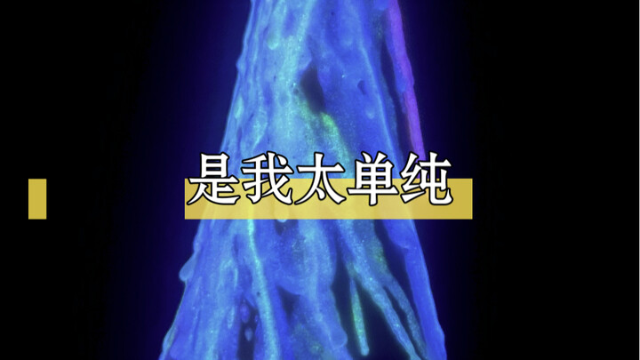 你们的耐受力是越来越好了，是我太单纯