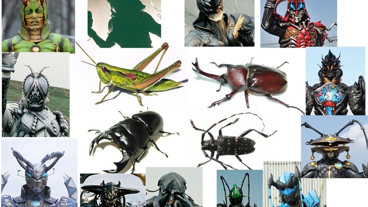 [Kamen Rider Monster] หนังมอนสเตอร์สายพันธุ์เดียวกันในผลงานที่แตกต่างกัน ช่วงที่ 4 (สัตว์ขาปล้อง ช่ว