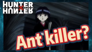 Ant killer?