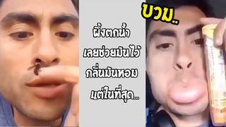 รวมคลิปตลกๆ : นี่มันผึ้งเนรคุณ!!