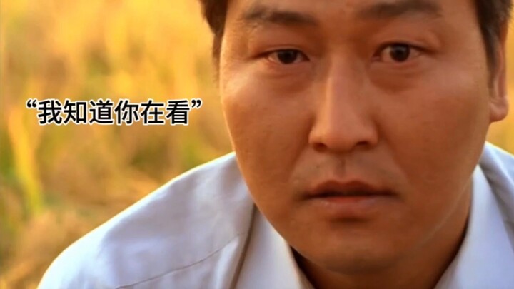 【ภาพยนตร์อาชญากรรมเกาหลี】 “ฉันรู้ว่าคุณกำลังดูอยู่ อย่าเพิ่งสะใจนะ สักวันฉันต้องหาตัวคุณเจอ!”