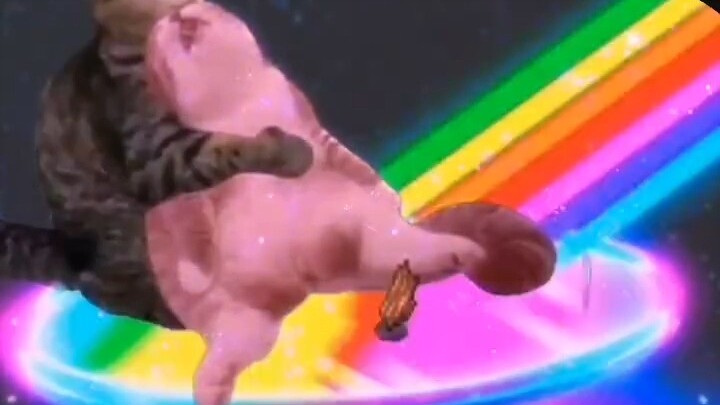 ⚡Ở cùng 哈基meeeeeeeeeeeee⚡