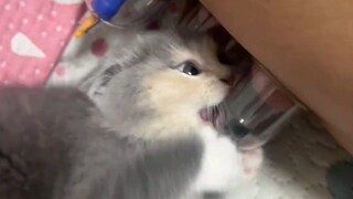 แม่ขออีกคำนะ!