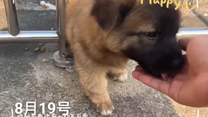 ปลาไหลน้อยน่ารัก (˵¯͒〰¯͒˵)