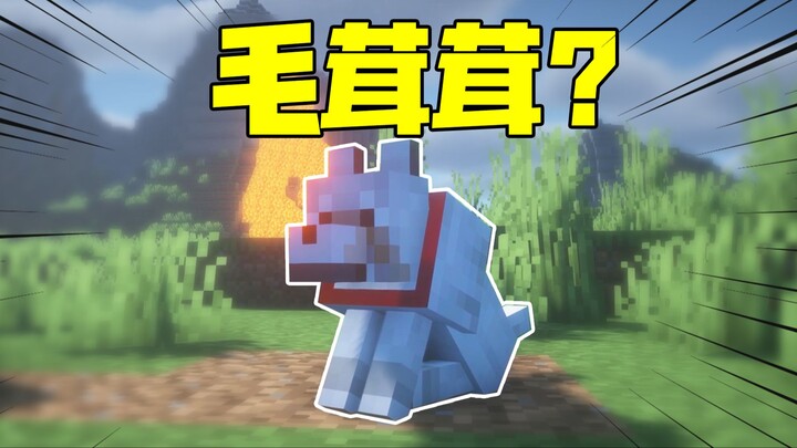 When your friend tells you that the square dog is fluffy?