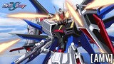 Gundam Seed Destiny [AMV] - Back From The Dead