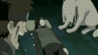 Neji juga memiliki waktu yang lucu, tapi dia dianiaya oleh Ya dan Akamaru haha~