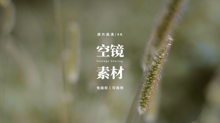 【免版权空镜】“Chasing And Losing”