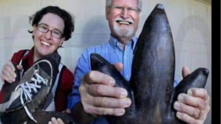 As everyone knows, Florida doesn’t tolerate idlers.