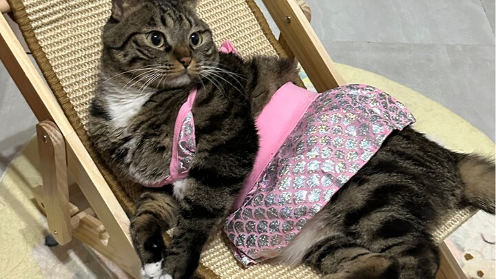 《ทาร์ดฟังซาย》