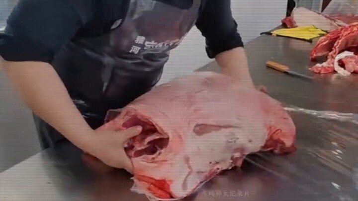 Phim tài liệu quy mô lớn "Mixi Mixi"