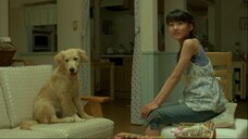 10 Promises to My Dog