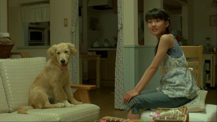 10 Promises to My Dog