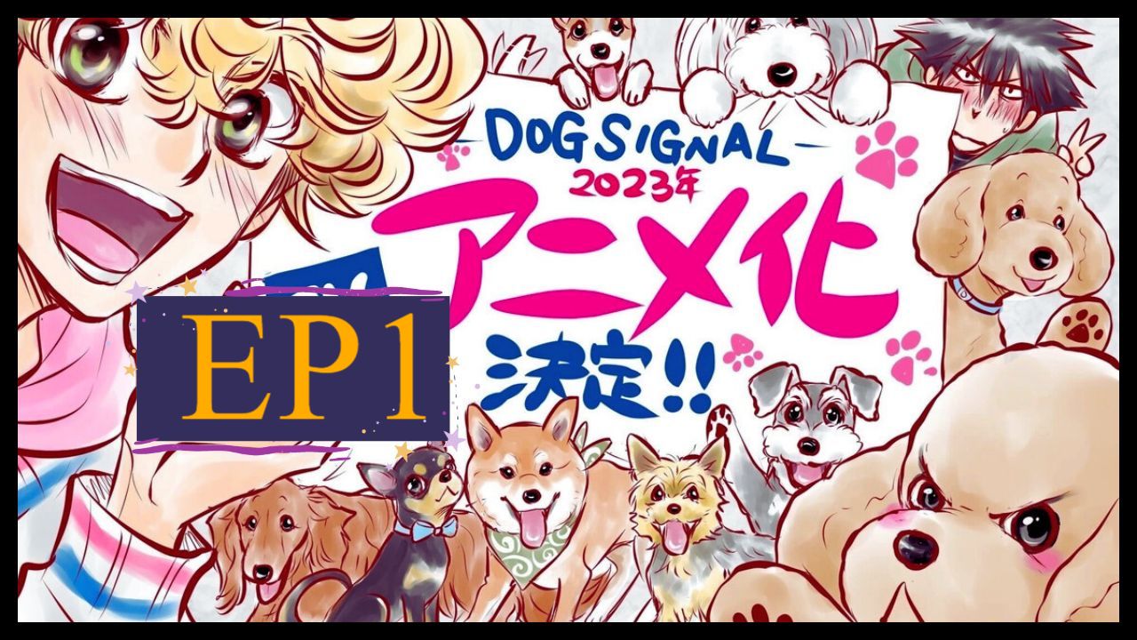 Download Dog Signal - Episódio 1 Online em PT-BR - Animes Online