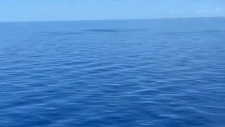 Con người thật thú vị: Không phải mắt mà chính não bộ mới là thứ đánh lừa chúng ta. Nhà sáng tạo tri