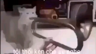 KHI GROUP VẮNG
