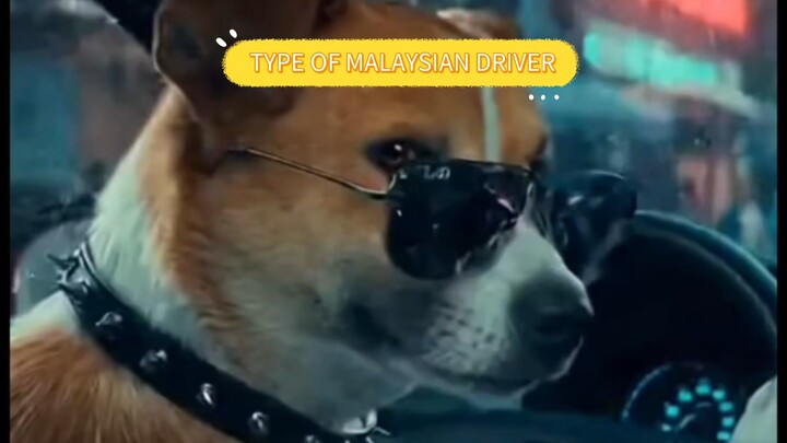 Driver Malaysia#Malaysian #Driver #anjing #dog