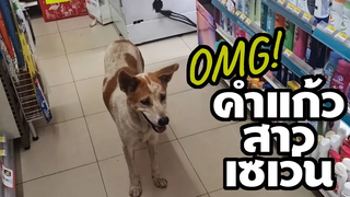 รู้ความจริงคำแก้ว น้ำตาจะไหล พ่อซอมบี้ แวะมาเยี่ยม คำแก้วสาวเซเว่น ไม่ได้เจอนานคิดถึงมาก