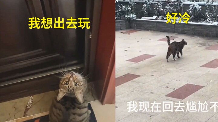 It’s winter and it’s snowing. The little cat wants to go outside and play, but as soon as it steps o