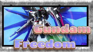 Gundam-Freedom_J