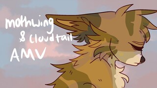 cloudtail and mothwing AMV ||warriors cats