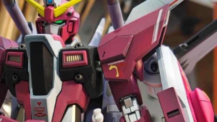 Aslanzara! Infinite Justice Type 2, attack!