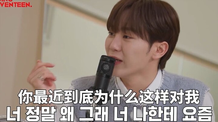 【SEVENTEEN】(Giới thiệu cho fan mới) Đêm không ngủ 2020 - Nguồn gốc của mọi tai họa