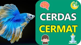 TEBAK IKAN APAKAH KALIAN CUKUP PINTAR ?! -  CERDAS CERMAT