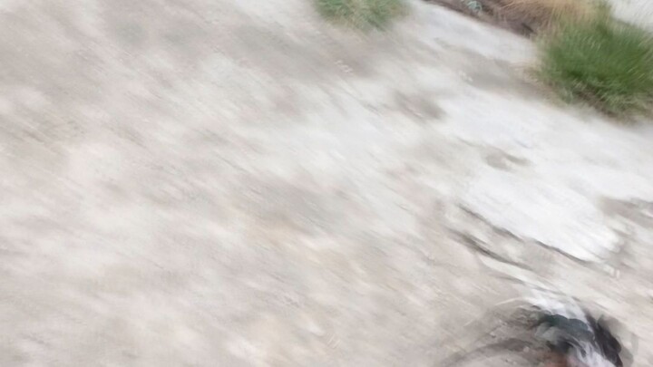 setting dol pure sweater vs  kelso