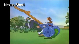 Tom & Jerry (Ep 20.3) Tee For Two (phần 3) #TomandJerry