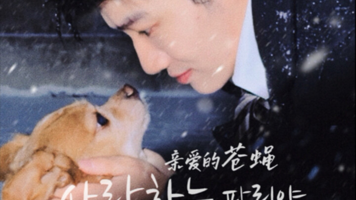 When Honey and I made a Korean drama with a fly swatter