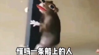 一条船上的蚂蚱我都没说啥你慌啥