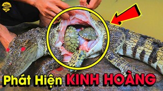 🔴12 Thứ Kỳ Lạ Và Điên Rồ Nhất Được Tìm Thấy Bên Trong Động Vật...Cái Số 6 Khiến Ai Cũng Khóc Thét