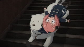 SPY×FAMILY (Season 2) Dog Knight Aniya is so cool!