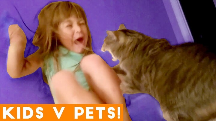 Baby and Cats Playing Together - Funny Baby and Pets Moments - Bilibili Baby and Cats Playing Together - Funny Baby and Pets Moments - Bilibili